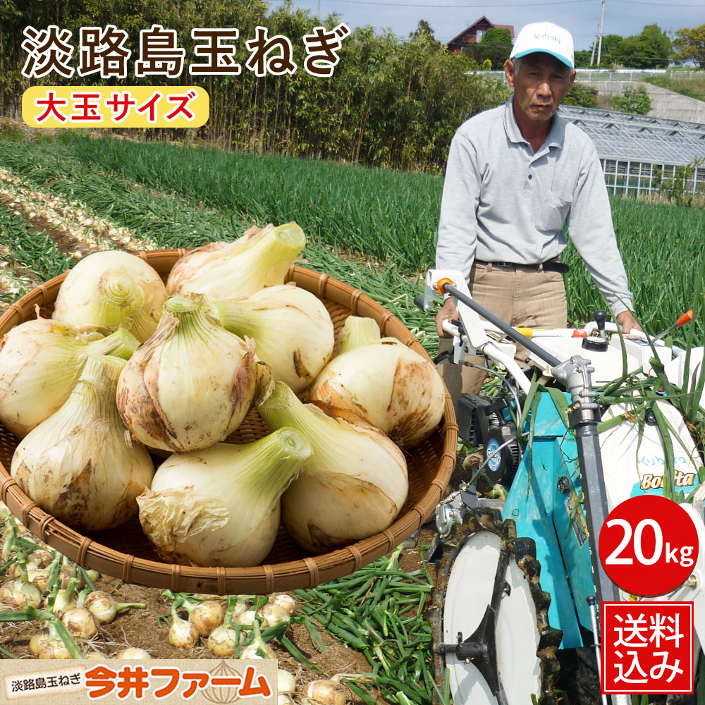 【新玉ねぎ予約(5月頃より順次発送予定)】【送料無料】 ＃淡路島たまねぎ大玉20Ｋ＃ 淡路島 玉ねぎ 玉葱 たまねぎ タマネギ たまねぎ 玉葱 玉ねぎ