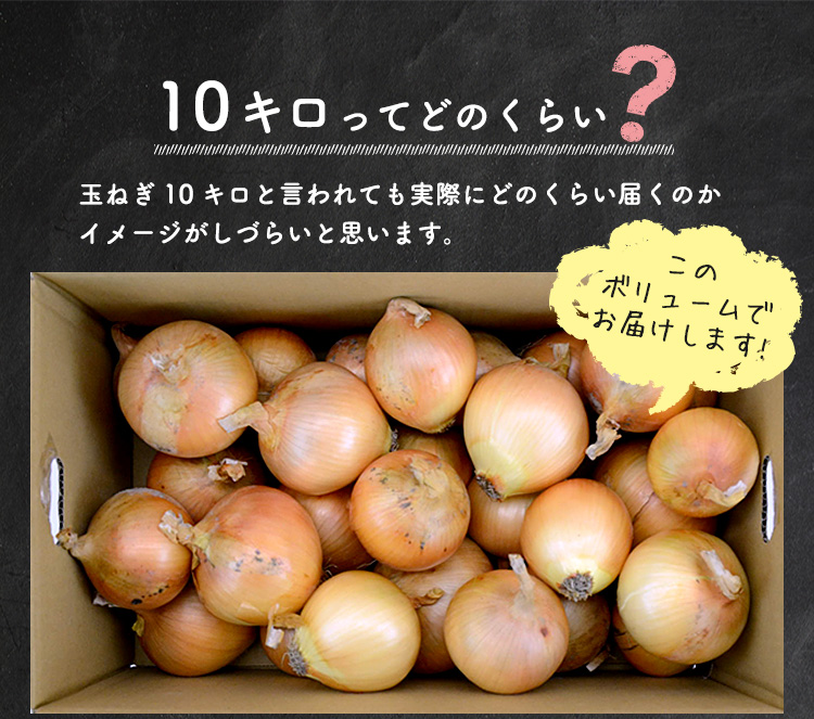 楽天市場 むき玉ねぎ 10kg 淡路島産 玉ねぎ 淡路 たまねぎ 淡路島 玉葱 タマネギ 10キロ 冷蔵 チルド発送 島育ち青果