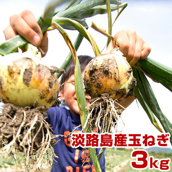 楽天市場】玉ねぎ 10kg 淡路島産 たまねぎ 淡路島 タマネギ 淡路 玉葱 玉ネギ 10キロ : 島育ち青果