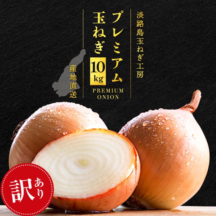 日本画⑤　玉ねぎ 日本画⑤ 玉ねぎ