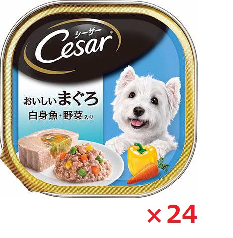 【24個セット】ＣＥ７１Ｎ　シーザー　おいしいまぐろ　白身魚・野菜入り １００ｇ マース ペット フード ドッグフード まとめ買い
