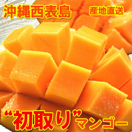 【糖度14度以上保障】ギフト用 沖縄産 マンゴー 各サイズ取り揃えております（1kg,2kg,4kgサイズ)<BR><BR>アーウィン アップルマンゴー 西表島産 大玉！先取りマンゴー<BR> 産地直送、送料無料でお届け  お中元 ギフト 贈答用 化粧箱入り フルーツ ギフト 果物