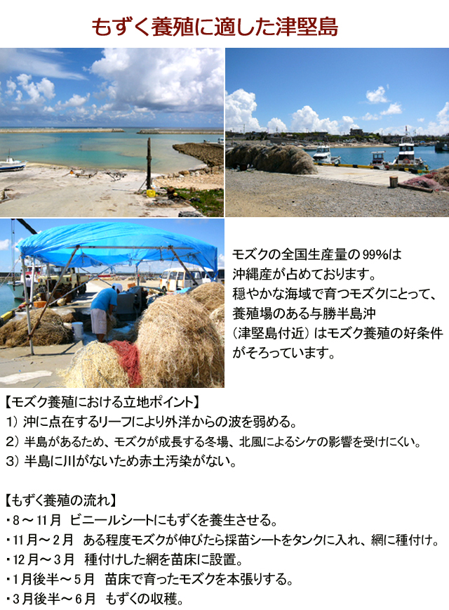 楽天市場 沖縄津堅島産塩もずく300g 2個 送料無料つけん島モズク事業共同組合 メール便発送 3セットで通常便日時指定ok 5セット以上タレ1本or もずくプレゼント産地直送 ダイエット 通販 1000円ポッキリ スーパーフード1000円ぽっきり M便 1 2 沖縄うまいもの屋 長浜商店