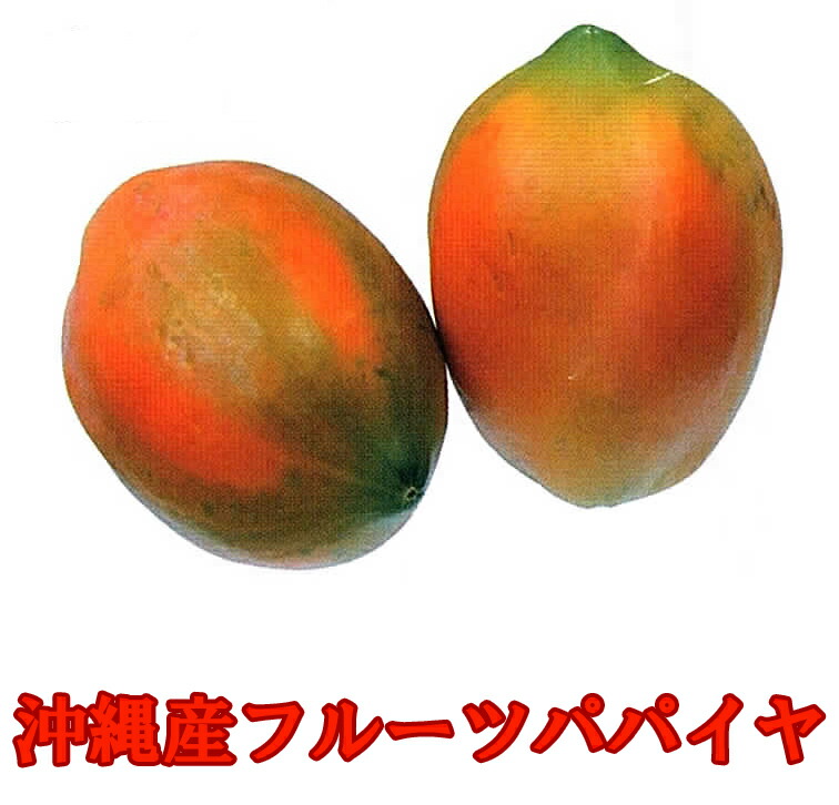 沖縄産フルーツパパイヤ 4kg（5-12玉入）送料無料<BR><BR>