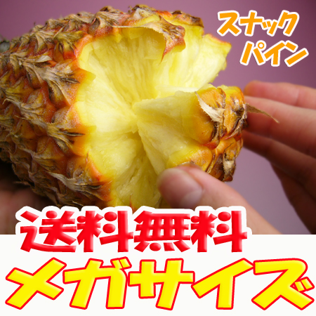 スナックパイン 沖縄産 パイナップル 約5.0kg 送料無料自社管理農園から直送だから安心保証付き沖縄産フルーツ パイナップルの通販はお任せ下さい ギフト