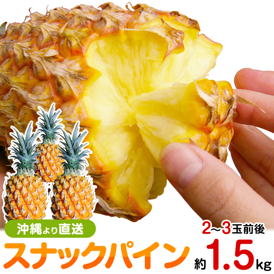 スナックパイン 沖縄産 パイナップル 約1.5kg 送料無料自社管理農園から直送だから安心保証付き沖縄産フルーツ パイナップルの通販はお任せ下さい 父の日 ギフト