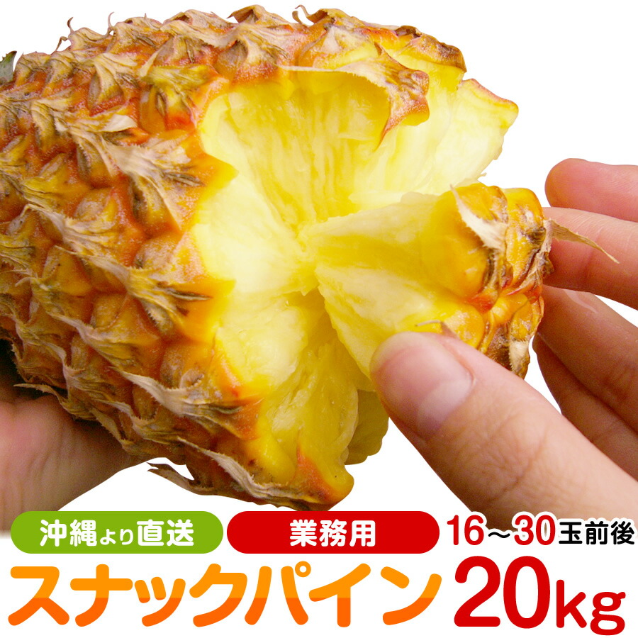 【青空レストランで紹介】業務用 沖縄産スナックパイン パイナップル 約20.0kg(16～30個) 送料無料<BR>山川さん アッコ店長出演！<BR>自社管理農園から直送だから安心保証付<BR>沖縄産フルーツ ギフト 季節限定 旬 果物 ボゴールパイン ポコットパイン
