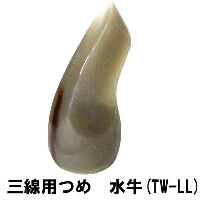 楽天市場】【送料無料】三線用爪オランダ牛（五角型）（Lサイズ