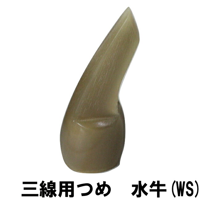 ws.jpg