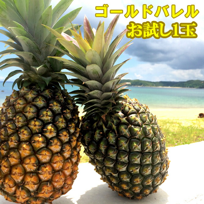 【限定2箱】石垣島産 パイナップル ゴールドバレル　7種食べ比べセット　小玉 bale6-1.jpg