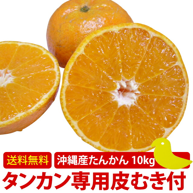 【楽天市場】沖縄 たんかん＼タンカン専用皮むき付／沖縄産 タンカン 1kg 3kg 5kg 10kg 秀品(ギフト用) 送料無料  産地直送！沖縄オレンジ(沖縄 みかん)予約 おきなわフルーツ(果物)訳あり(わけあり) お試し セール ギフト 贈答用 お取り寄せ グルメ 屋久島 御  ...