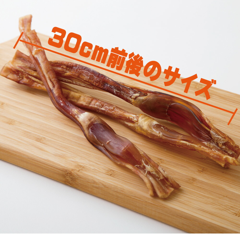 ウマアキレス ロング 1kg風呂敷包 御役役立つこと 馬 アキレス ロング 人受け まわし者の軽食 モンゴル ナッシング填補 小型犬 中型犬 おっきい型 犬 警備 歯磨き デンタルケア 喇叭ボンネット うま ホース 大腕前 おプロフィット ブリーダー 多頭飼い 歯石防止 歪力放つ