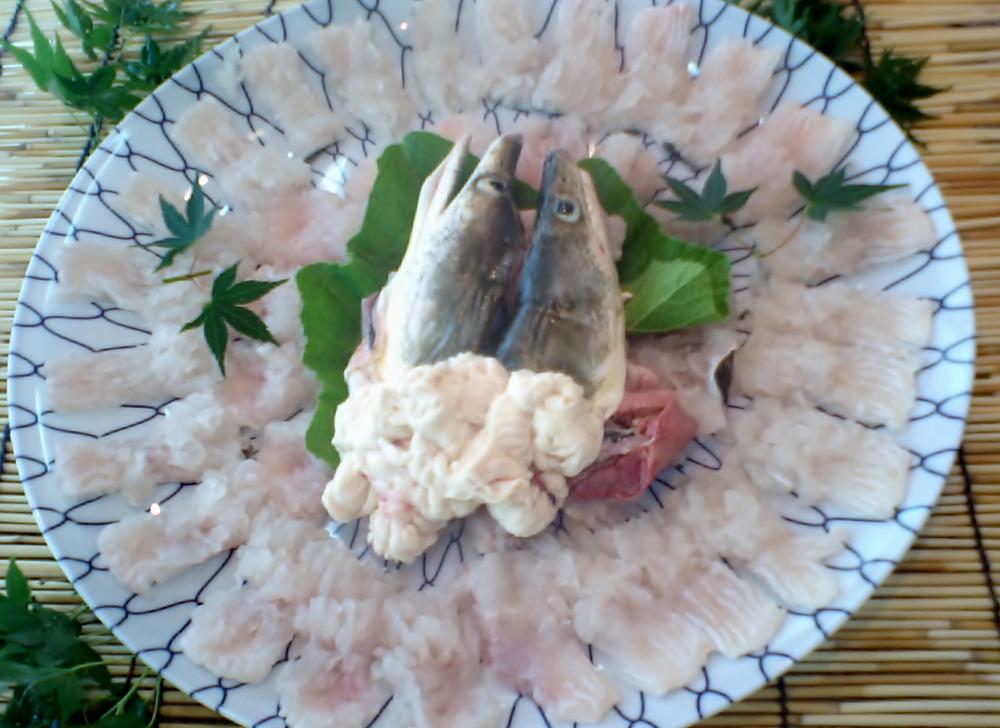 父の日・はも・ハモ・鱧淡路島産活黄金ハモ「骨切り済！はもすき用」1ｋｇ～1ｋ200ｇ