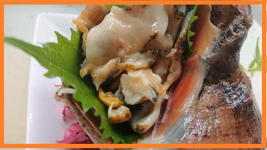 市場 貝 4 5個で約1ｋｇ 1800 淡路島産活き赤西貝 赤西貝