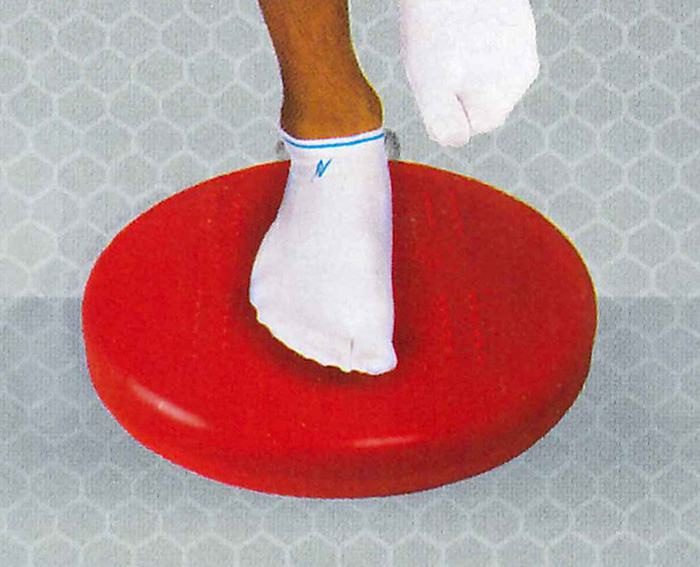 【 ニシスポーツ NISHI 】【 トレーニング用品 】バランスディスク　NT5875　[200409]