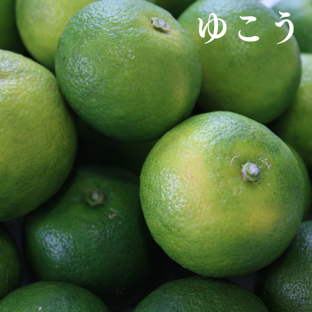 21セール すだち酢 ゆず酢 ゆこう酢 生酢 徳島県産 自社製造 自社搾汁 果汁 柑橘酢 すだち スダチ 酢橘 ゆず ユズ 柚子 ゆこう 柚香 調味料 果汁調味料 果実酢 天然果実酢 飲む酢 無添加 フルーツビネガー 味比べ 無塩 健康 Qdtek Vn