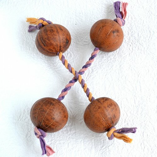 楽天市場 アサラト ノーマル２本セット Mサイズ 4 3 4 7cm あわうみ