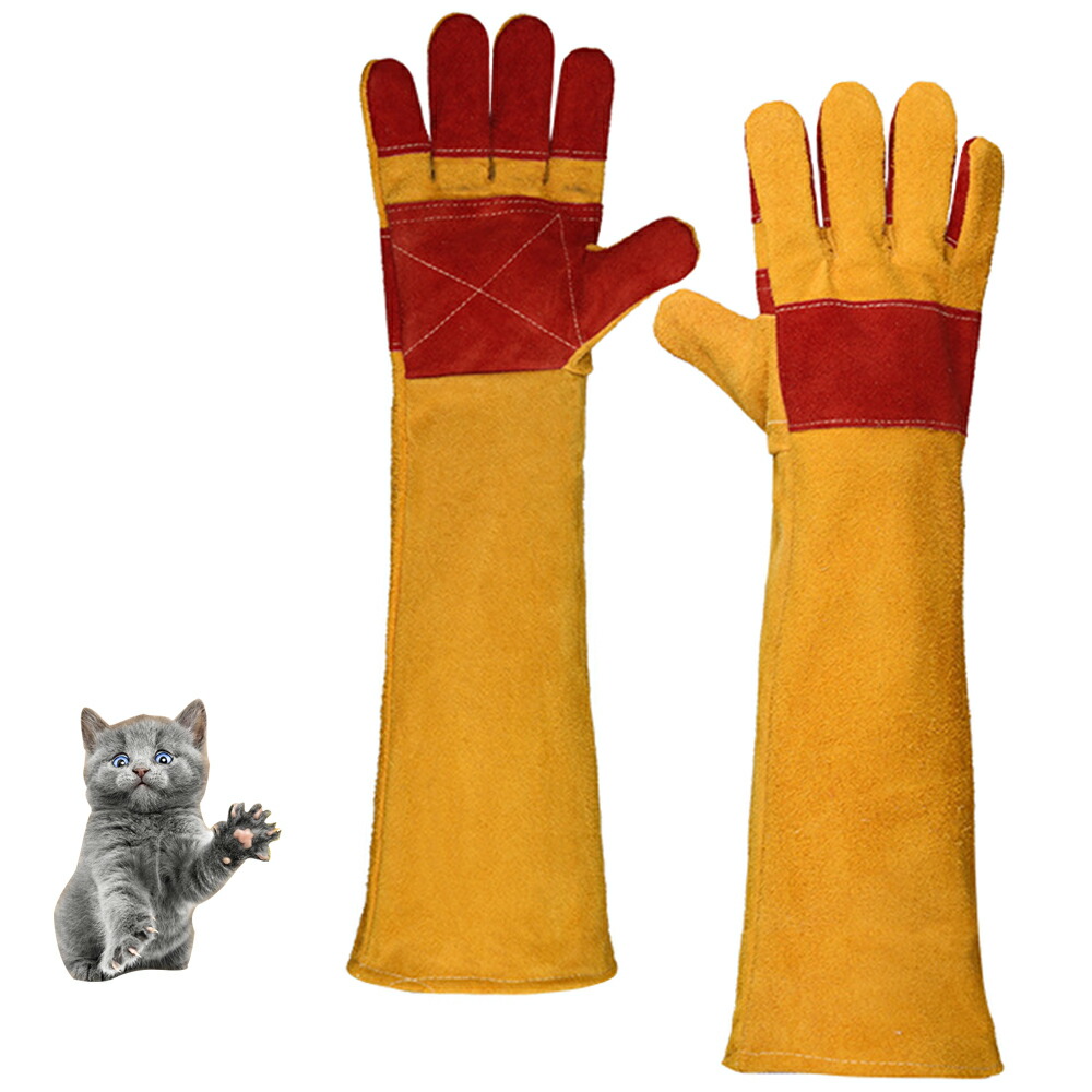 楽天市場】【ショート丈】猛禽用ファルコングローブ【S〜Lサイズ】革