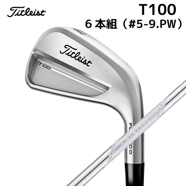 楽天市場】Titleist タイトリスト日本正規品 T100Sアイアン NSPRO105T