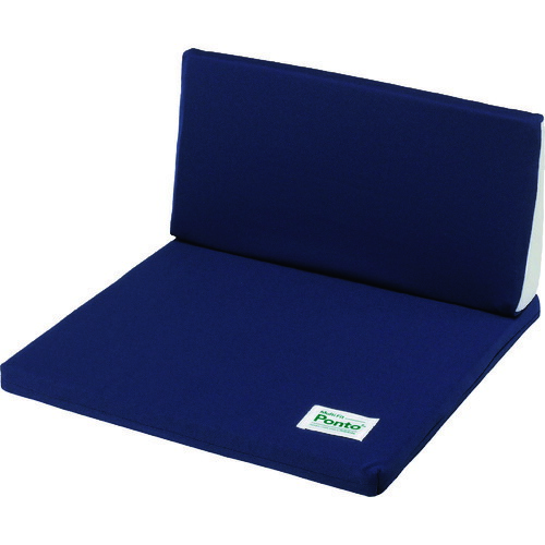 待望 ソフト99 ボディドクター マルチフィット ポント インディゴブルー 車 バイク 自転車 自動車 車用工具 修理 ガレージ用品 補修用品 塗料 車用品 バイク用品