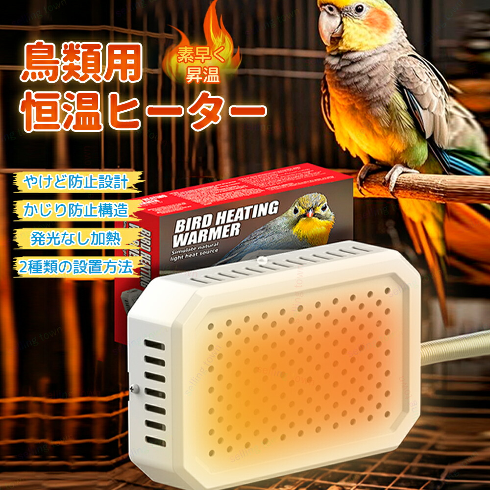 楽天市場】小鳥 ヒーター 爬虫類 保温球 保温電球カバー付 100W インコ