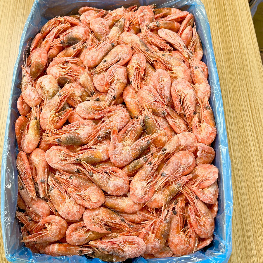 【送料無料】冷凍ボイル甘海老 5kg<br>冷凍　海老　卵付き　甘海老 海産物 干物 クリスマス お歳暮　お正月