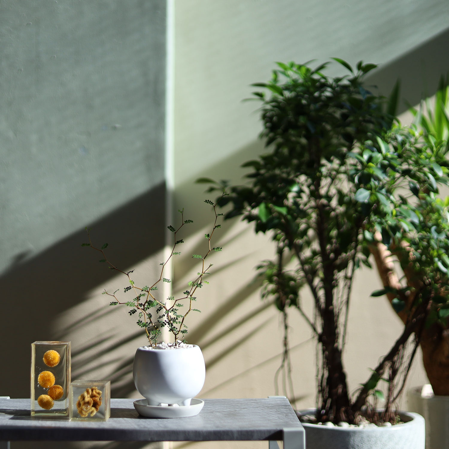 0812  植木鉢  陶器  入れ物 0812 植木鉢 陶器 入れ物