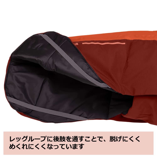 レッグループ