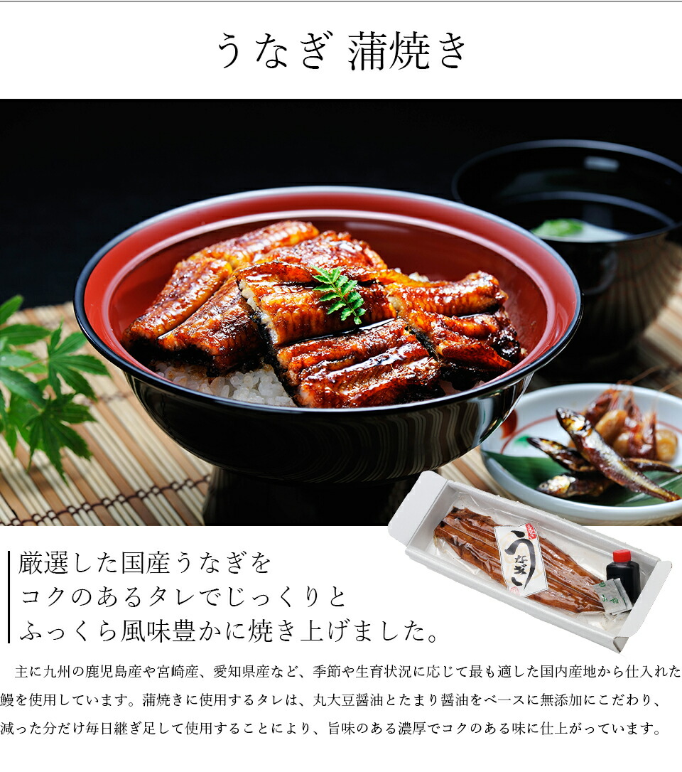 送料込 父の年月日 手みやげ 国産 ウナギ 蒲焼き 135g以上 カレッジ号数2テイル 横紙箱入 あゆの店屋きむら Ungkl2 うなぎ ウナギ ウナギ 蒲焼き 蒲焼 かば焼き かばやき 国産 土用の丑 内祝儀 お祝い ギフト 祝儀 授与 Vned Org
