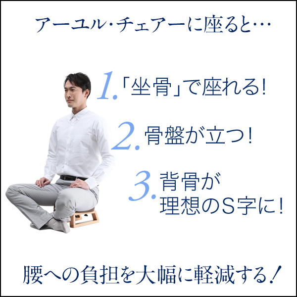 週間売れ筋 アーユルチェア 【期間限定値下げ中】アーユルチェア