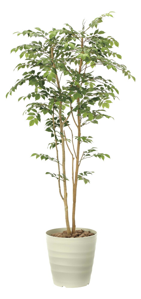 光触媒観葉植物 マウンテンアッシュ1 8 フロアタイプ インテリア アートグリーン おしゃれ プレゼント 部屋に飾る 造花 緑 ギフト リビング 玄関 キッチン 枯れない 開店祝 引越祝 開業祝 展示場 屋内 贈答 店舗 5lサイズ Painfreepainrelief Com
