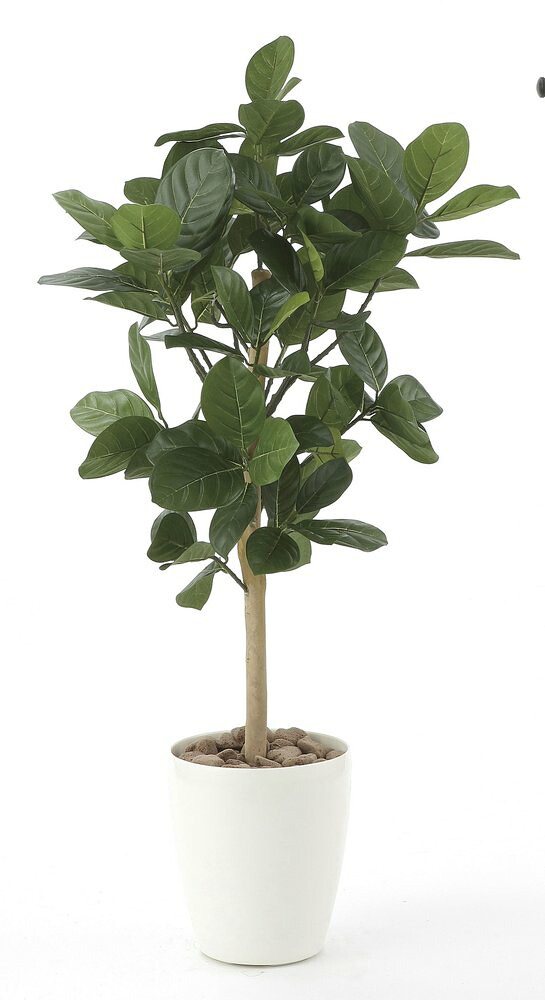 光触媒観葉植物 パンの木90〔フロアタイプ(ハイサイズ)〕/光触媒 観葉植物 ウンベラータ フェイクグリーン 花 胡蝶蘭 開店祝い 開業祝い 誕生祝い 造花 アートフレーム おしゃれ 飾る 5Lサイズ｜絵画・壁飾り　風景専門店あゆわら