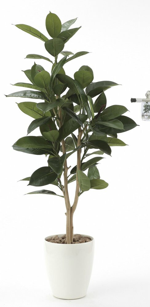 ランキングや新製品 新築祝い 開店祝い 誕生日などのギフトに光触媒観葉植物はいかが 玄関やリビングのインテリアにお手入れいらず 光触媒加工の造花 アートフラワー 光触媒観葉植物 ゴムの木1 25 フロアタイプ ハイサイズ 光触媒 観葉植物 ウンベラータ