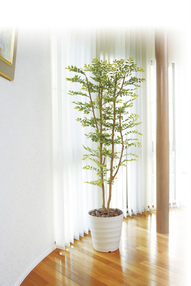 ゴールデンツリー1 6 フロアタイプ ハイサイズ 光触媒 巣ごもり花 ガーデン Diy フェイクグリーン 観葉植物 光触媒観葉植物 新築祝い 開店祝い 誕生日などのギフトに光触媒観葉植物はいかが 玄関やリビングのインテリアにお手入れいらず 光触媒加工の造花 開店 ゴールデンツリー1 6 フロアタイプ ハイサイズ 光触媒 巣ごもり花 ガーデン Diy フェイクグリーン 観葉植物 光触媒観葉植物 新築祝い 開店祝い 誕生日などのギフトに光触媒観葉植物はいかが 玄関やリビングのインテリアにお手入れいらず 光触媒加工の造花 開店