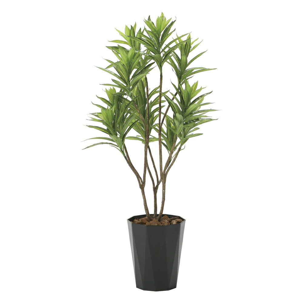 光触媒観葉植物 フレッシュドラセナ1 2 フロアタイプ インテリア フェイクグリーン おしゃれ アートグリーン 緑 リビング 鉢植え プレゼント ギフト 玄関 キッチン 部屋に飾る 御祝 店舗 オフィス 展示場 開店祝 引越祝 開業祝 贈答 記念 5lサイズ Psicologosancora Es