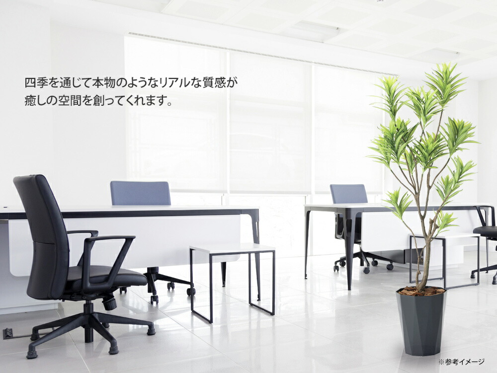 光触媒観葉植物 フレッシュドラセナ1 8 フロアタイプ インテリア フェイクグリーン おしゃれ アートグリーン 緑 リビング 鉢植え プレゼント ギフト 玄関 キッチン 部屋に飾る 御祝 店舗 オフィス 展示場 開店祝 引越祝 開業祝 贈答 記念 5lサイズ Butlerchimneys Com