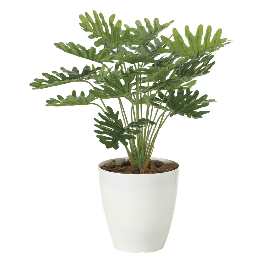 楽天市場】光触媒観葉植物 アーバンブランチツリー1.8 〔フロアタイプ