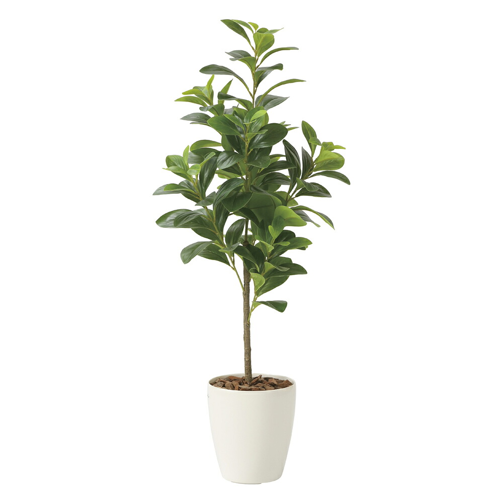 光触媒観葉植物 フレッシュマネーツリー90 〔フロアタイプ〕 インテリア フェイクグリーン おしゃれ アートグリーン 緑 リビング 鉢植え プレゼント ギフト 玄関 キッチン 部屋に飾る 御祝 店舗 オフィス 展示場 開店祝 引越祝 開業祝 贈答 記念 4Lサイズ｜絵画・壁飾り　風景専門店あゆわら