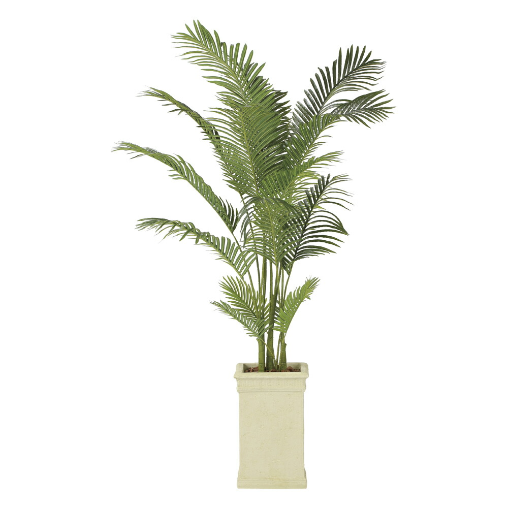 光触媒観葉植物 フレッシュマネーツリー90 〔フロアタイプ