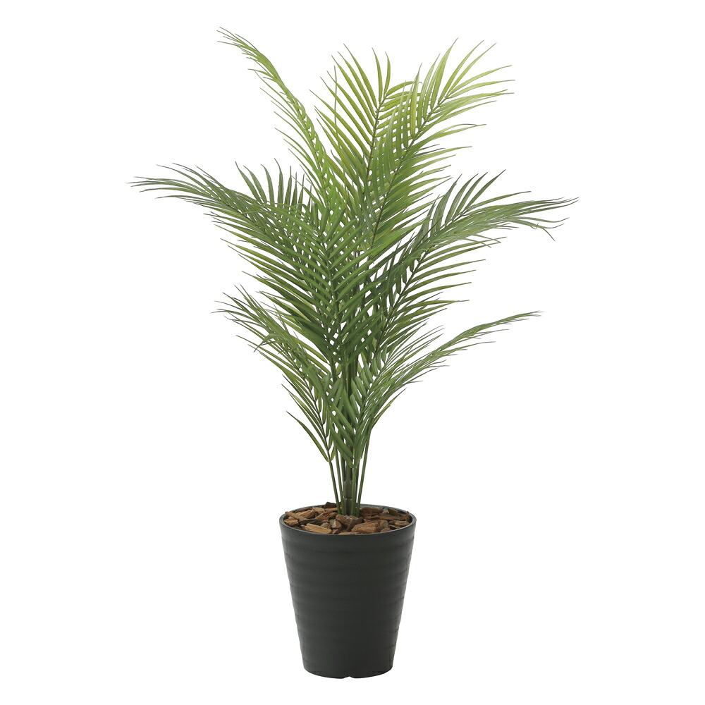 光触媒観葉植物 パームツリー95(ポリ製) 〔テーブルタイプ〕 インテリア フェイクグリーン おしゃれ アートグリーン 緑 リビング 鉢植え プレゼント ギフト 玄関 キッチン 部屋に飾る 御祝 店舗 オフィス 展示場 開店祝 引越祝 開業祝 贈答 記念 5Lサイズ|絵画・壁飾り 風景専門店あゆわら