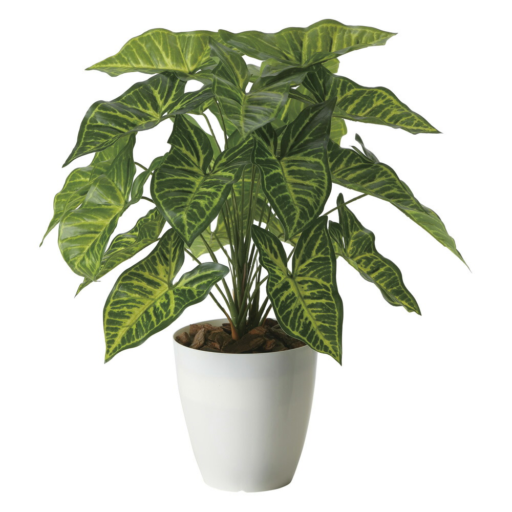 見事な 光触媒観葉植物 シンゴニウム テーブルタイプ インテリア フェイクグリーン おしゃれ アートグリーン 緑 リビング 鉢植え プレゼント ギフト 玄関 キッチン 部屋に飾る 御祝 店舗 オフィス 展示場 開店祝 引越祝 開業祝 贈答 記念 3lサイズ 造花 人工観葉植物