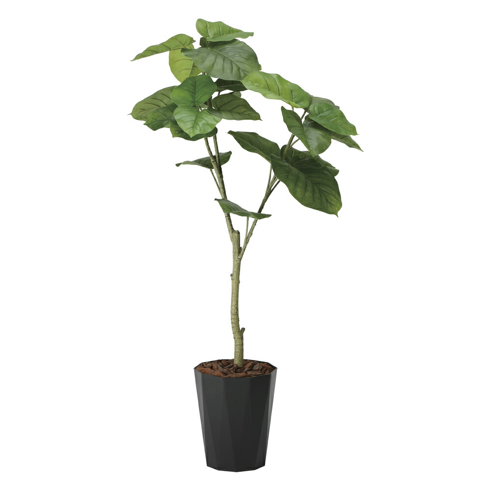 有名な 光触媒観葉植物 ウンベラータ1 35 フロアタイプ インテリア フェイクグリーン おしゃれ アートグリーン 緑 リビング 鉢植え プレゼント ギフト 玄関 キッチン 部屋に飾る 御祝 店舗 オフィス 展示場 開店祝 引越祝 開業祝 贈答 記念 5lサイズ 造花 人工観葉植物