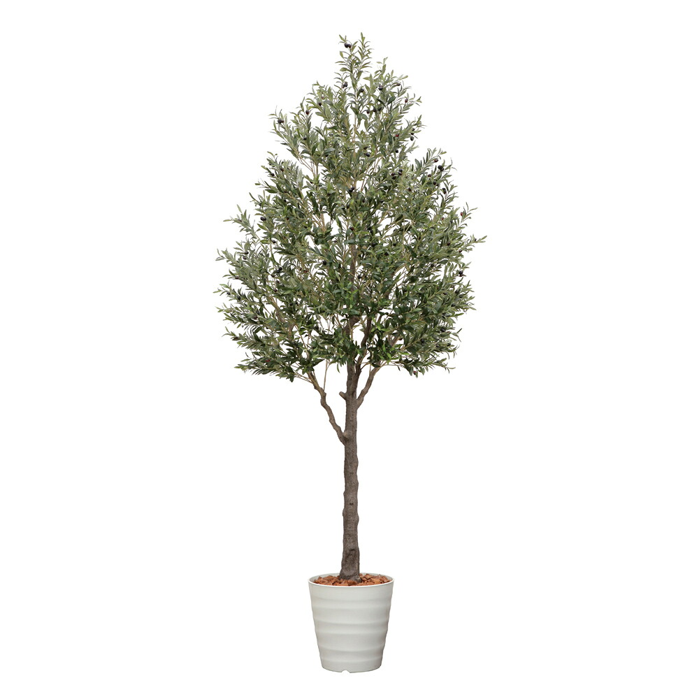 光触媒観葉植物 オリーブ3.2(組立式) 〔フロアタイプ(ハイサイズ)〕 フェイクグリーン 人工 観葉植物 インテリア 鉢植 おしゃれ アートグリーン 緑 御祝 店舗 オフィス 5Lサイズ