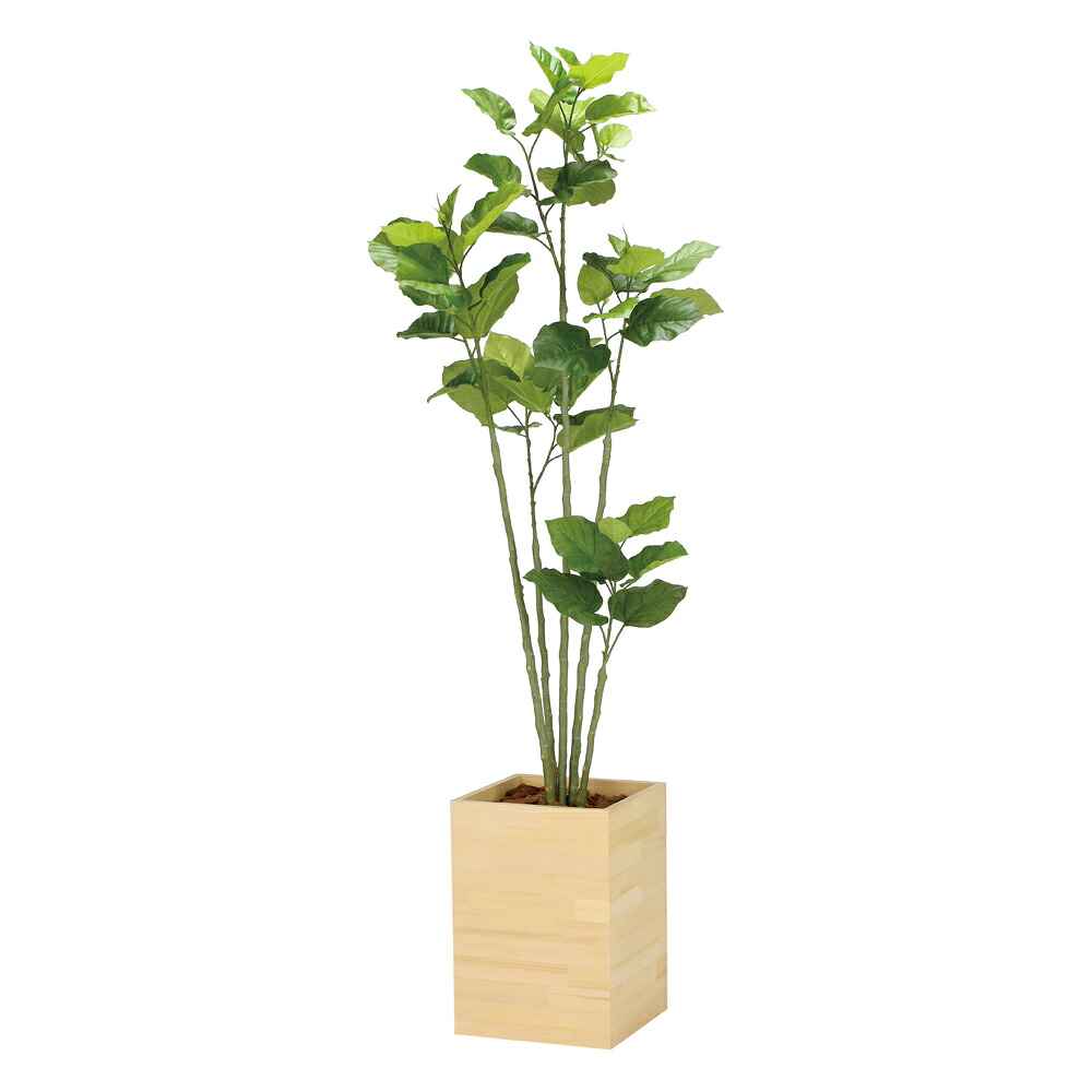 光触媒観葉植物 ウッドボックスウンベラータ1.8 〔フロアタイプ(ハイサイズ)〕 フェイクグリーン 人工 観葉植物 インテリア 鉢植 おしゃれ アートグリーン 緑 御祝 店舗 オフィス 5Lサイズ