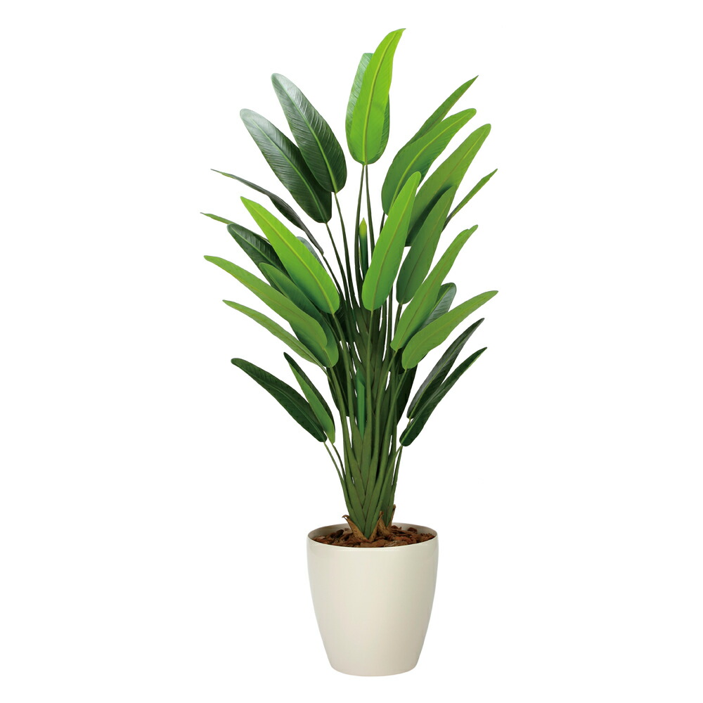 楽天市場】光触媒観葉植物 アレカパーム1.5(ポリ製) 〔フロアタイプ