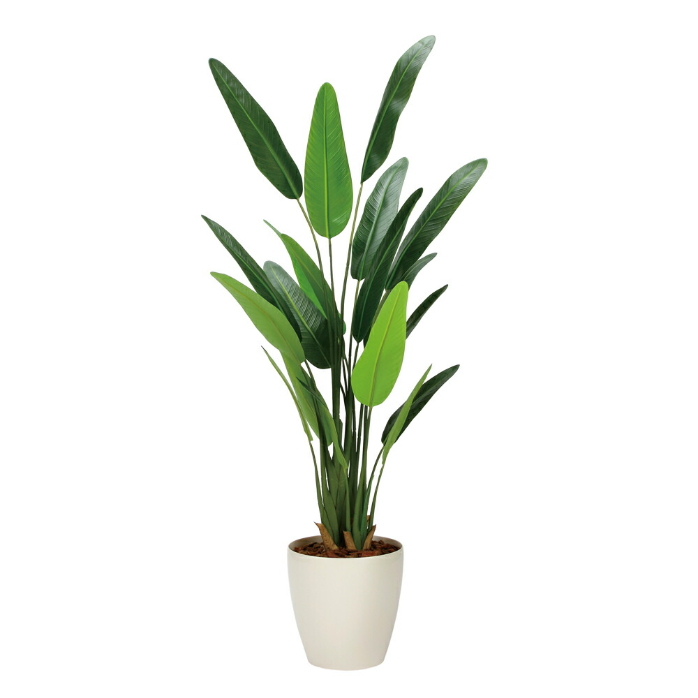 楽天市場】光触媒観葉植物 アレカパーム1.5(ポリ製) 〔フロアタイプ