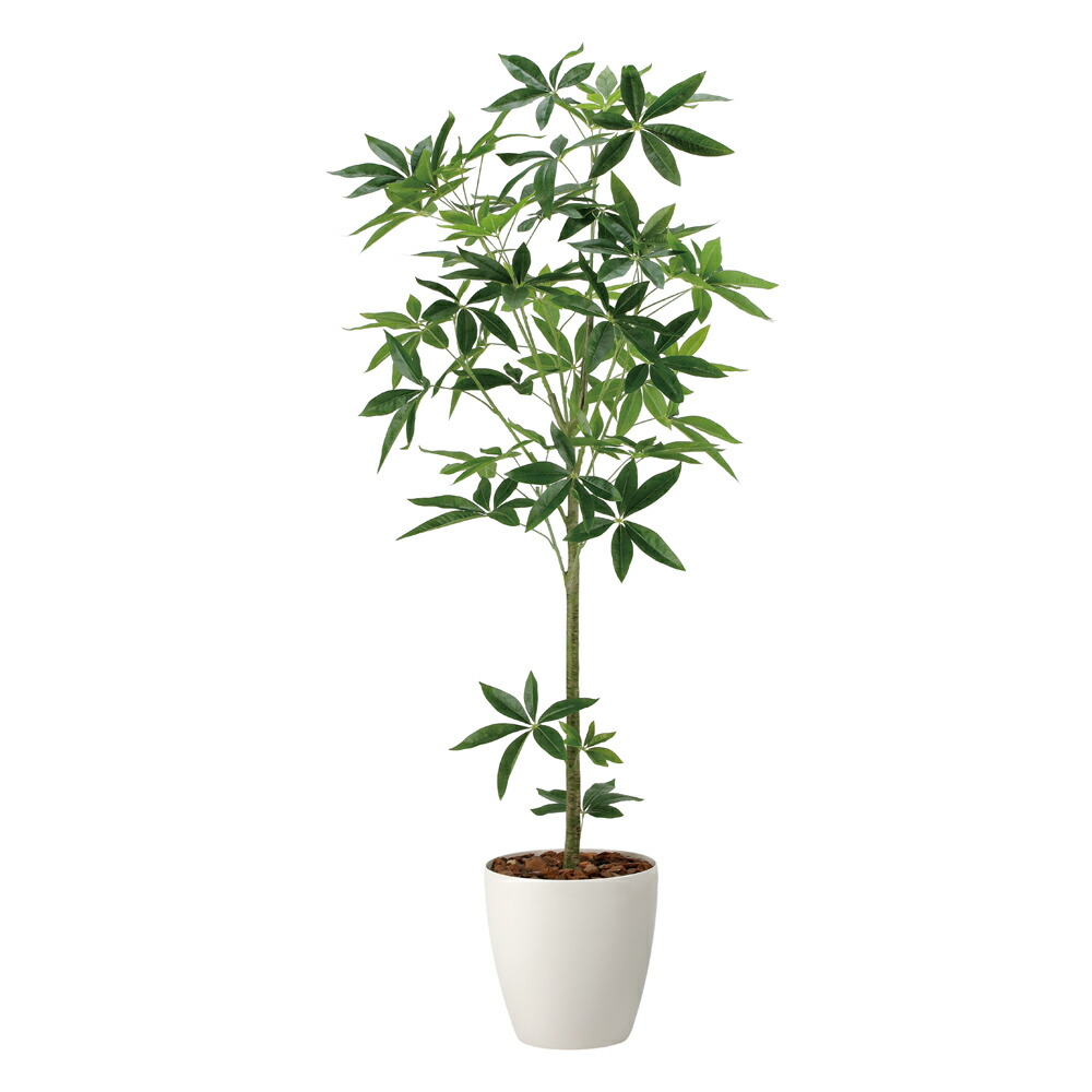 楽天市場】【スーパーSALE10％OFF】光触媒観葉植物 フィカス