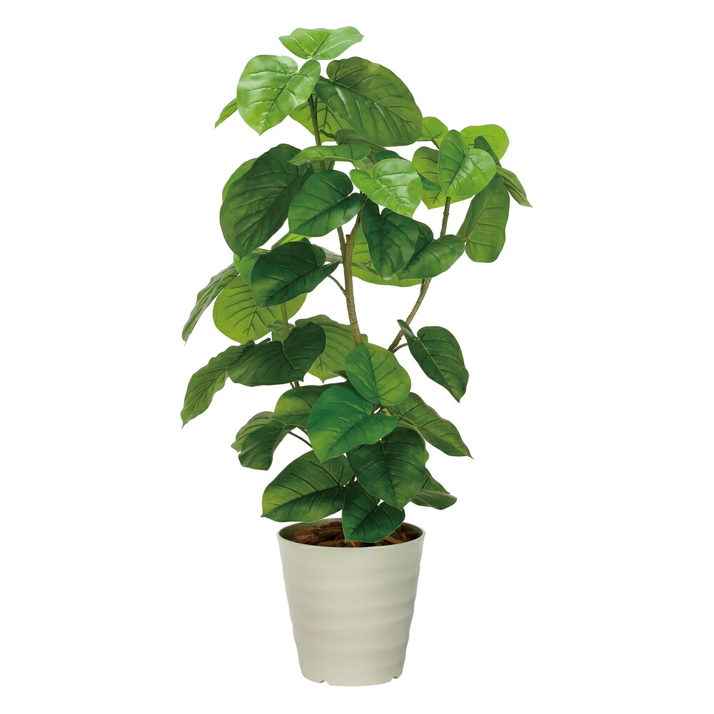 光触媒観葉植物 フレッシュDXウンベラータ1.3 〔フロアタイプ(ハイサイズ)〕 フェイクグリーン 人工 観葉植物 インテリア 鉢植 おしゃれ アートグリーン 緑 御祝 店舗 オフィス 5Lサイズ｜絵画・壁飾り　風景専門店あゆわら