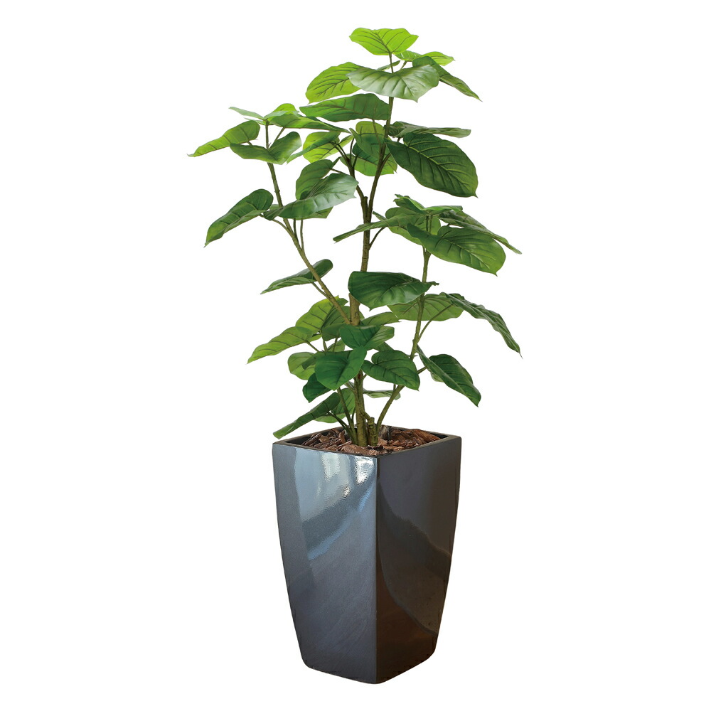 あゆわら ゴッホ特集 花・観葉植物-花・ガーデン・DIY-造花・人工観葉植物