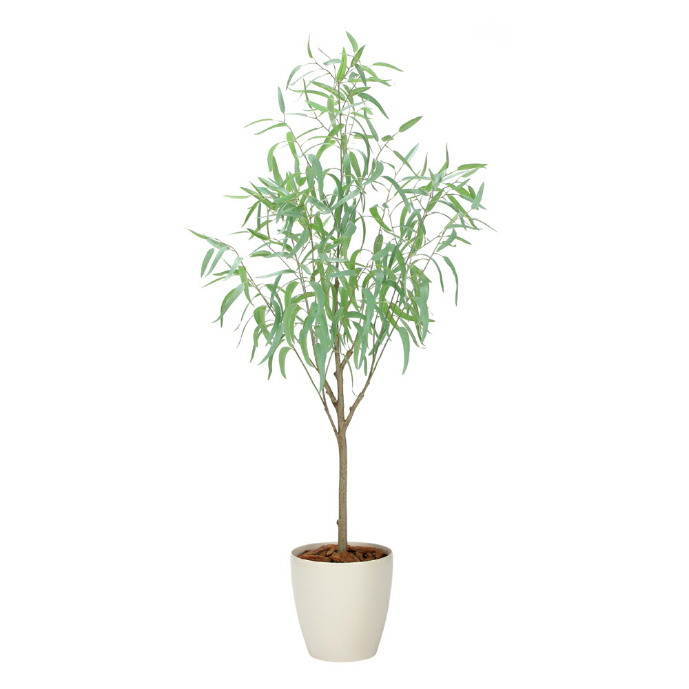 光触媒観葉植物 フレッシュシルバーユーカリ1.7 〔フロアタイプ(ハイサイズ)〕 フェイクグリーン 人工 観葉植物 インテリア 鉢植 おしゃれ アートグリーン 緑 御祝 店舗 オフィス 5Lサイズ｜絵画・壁飾り　風景専門店あゆわら